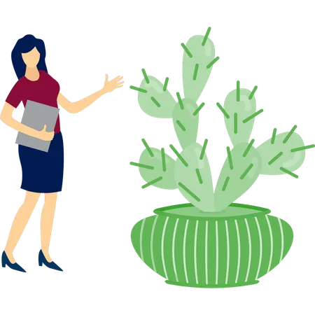 Chica con archivo mirando plantas de opuntia  Ilustración