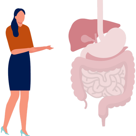 Niña explicando la urología humana  Ilustración