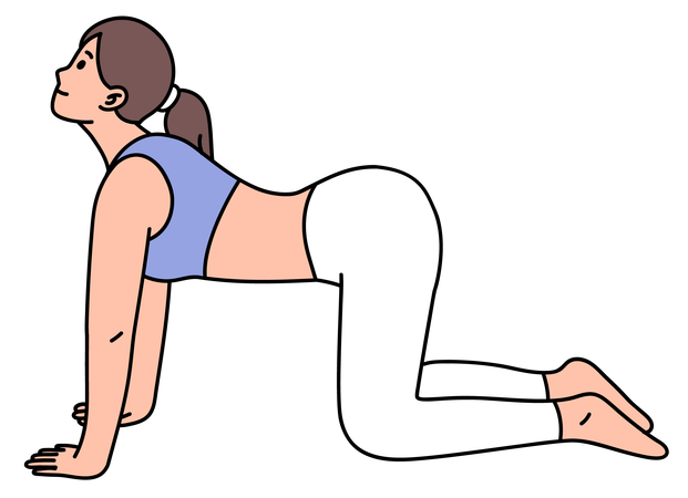 Chica haciendo pose de yoga de vaca  Ilustración