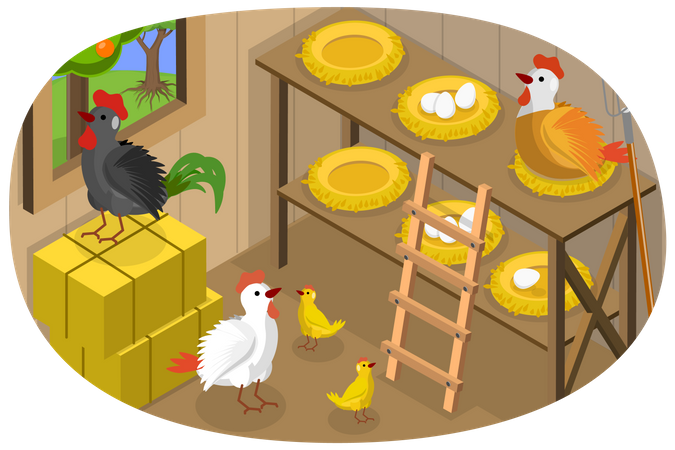Chicken barn  Illustration