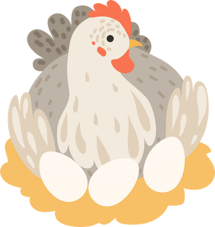 Chicken brood hen  Illustration