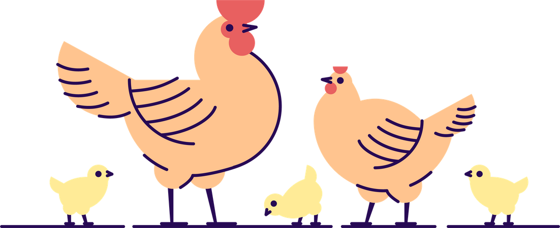 Chicken family Illustration