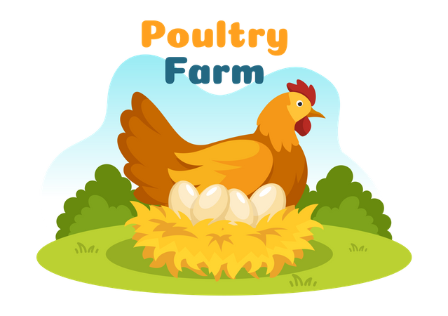 Chicken farm  Illustration