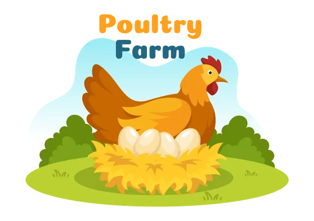 Chicken farm  Illustration