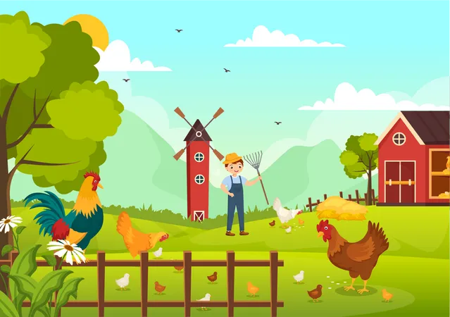 Chicken Farming  Illustration