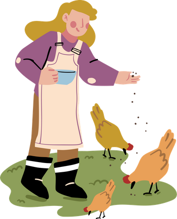 Chicken Feeding  Illustration