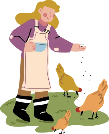 Chicken Feeding  Illustration