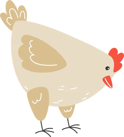 An Adult Chicken Pecks At The Seeds Illustration