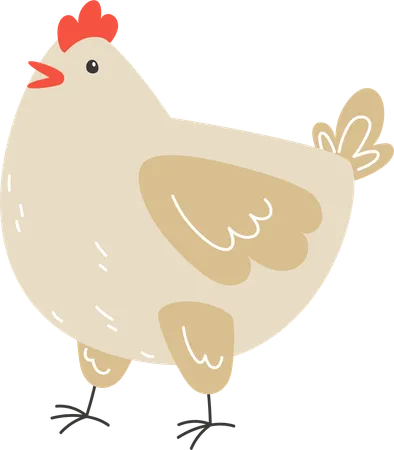 An Adult Beige Chicken Illustration