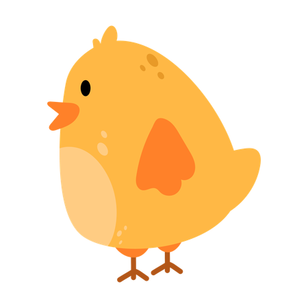 Chicks  Illustration