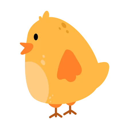 Chicks  Illustration