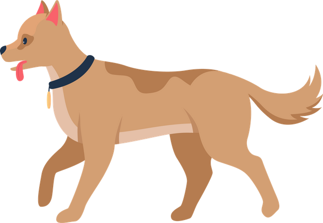 Chienchien  Illustration