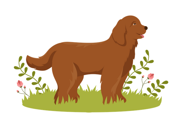 Chien, animal de compagnie  Illustration