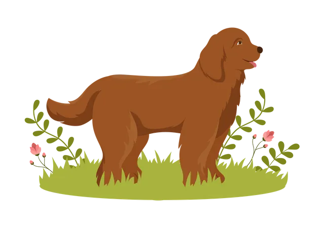 Chien, animal de compagnie  Illustration