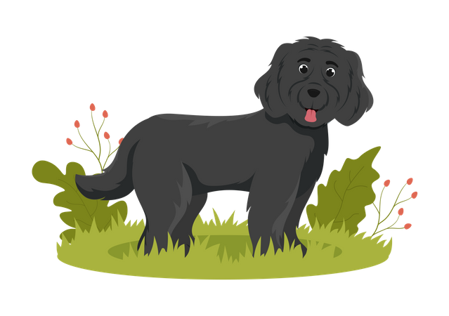 Illustration de chien de Terre-Neuve  Illustration