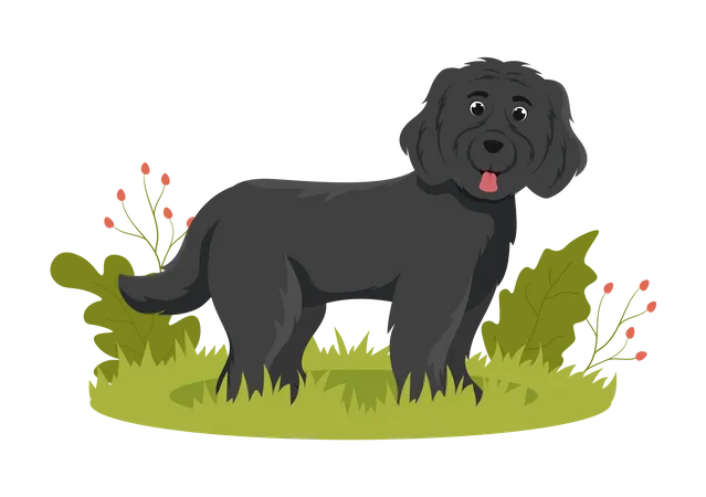 Illustration de chien de Terre-Neuve  Illustration