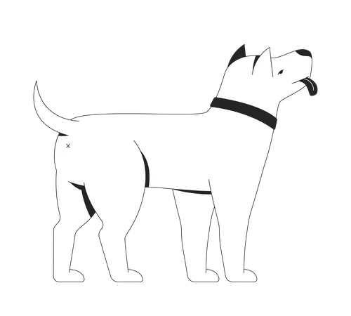 Chien debout avec une expression neutre et un collier noir  Illustration