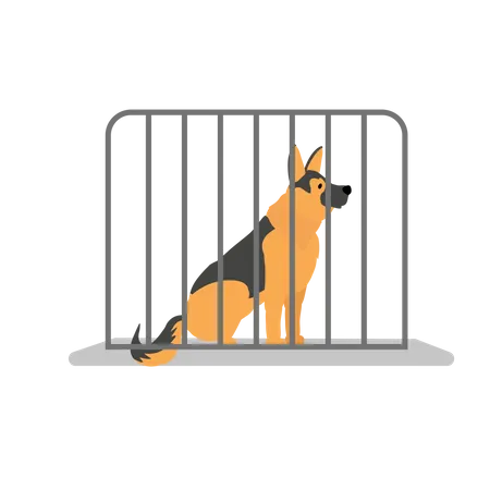 Chien en cage  Illustration