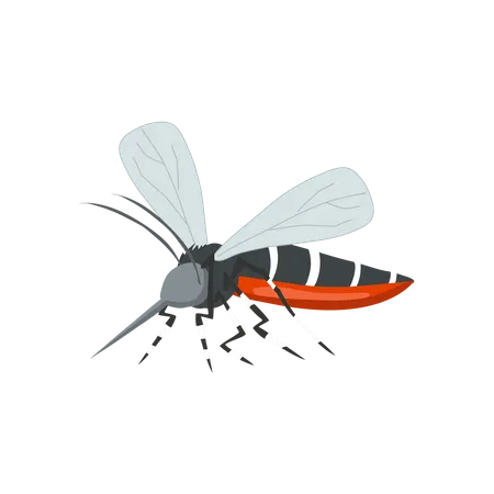 Chikungunya Threat  Illustration