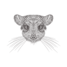 chinchilla face illustration free download