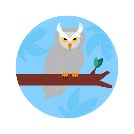 Hibou  Illustration