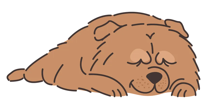 Chow chow dog  Illustration