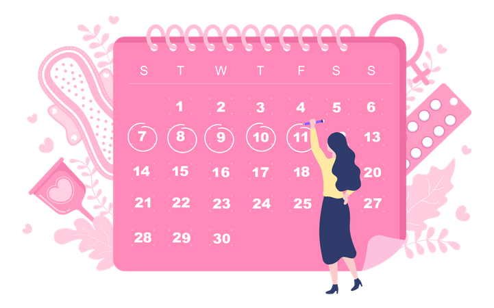 Ciclo de Data da Menstruação  Ilustração