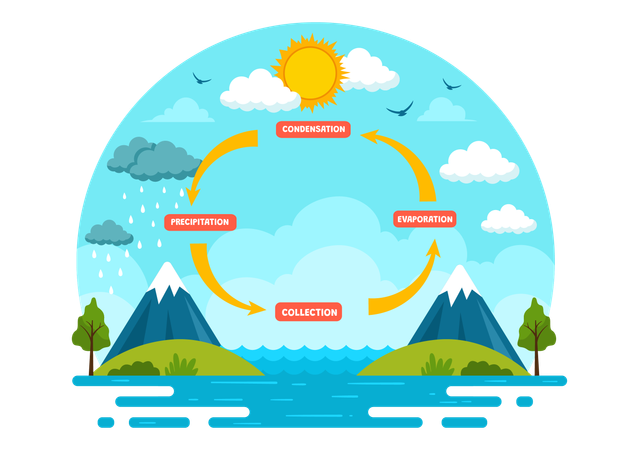 El ciclo del agua  Ilustración