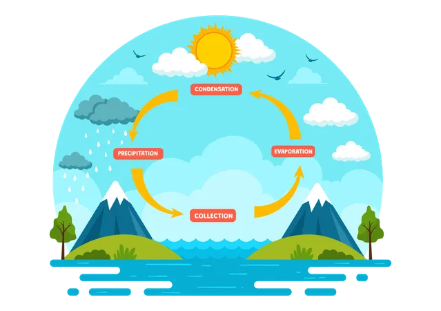 El ciclo del agua  Ilustración