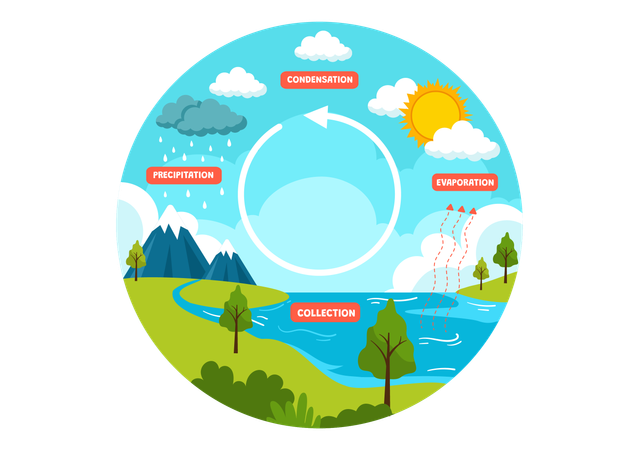 El ciclo del agua  Ilustración