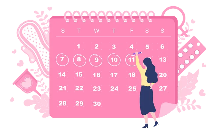 Ciclo de fecha de menstruación  Ilustración
