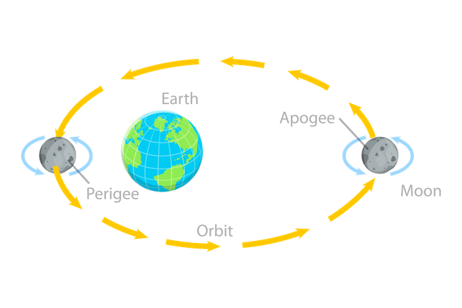 Periegeu e Apogeu, Ciclos Lunares  Ilustração