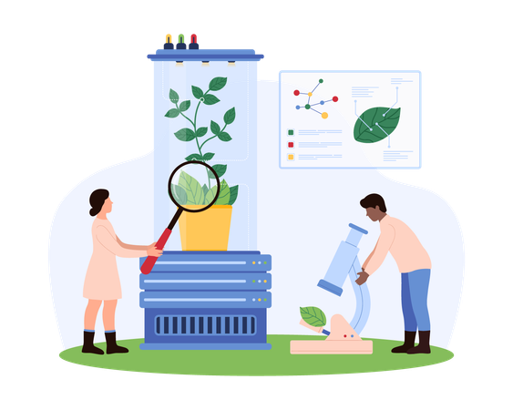 Científico analizando muestras de plantas en un laboratorio de naturopatía  Ilustración