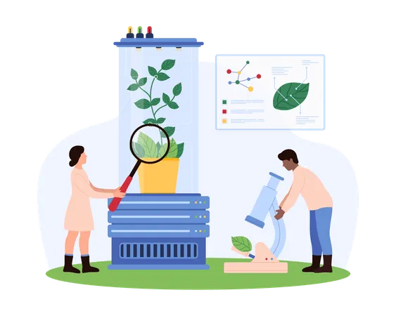 Científico analizando muestras de plantas en un laboratorio de naturopatía  Ilustración