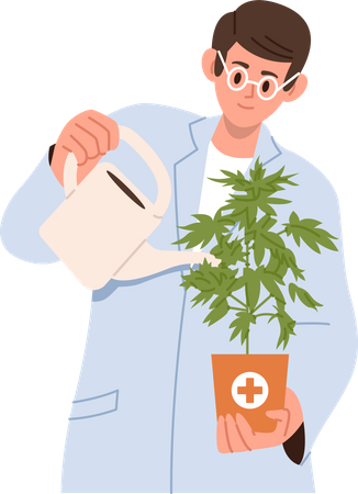 Científico en uniforme regando la planta de cannabis.  Ilustración