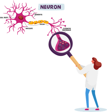 Mujer científica aprendiendo esquema de neuronas humanas en laboratorio científico  Ilustración