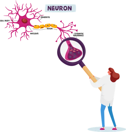 Mujer científica aprendiendo esquema de neuronas humanas en laboratorio científico  Ilustración