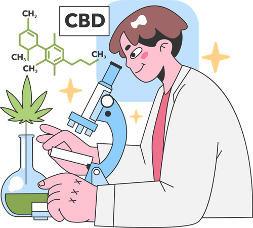 Científico cultiva cannabis medicinal y prepara medicina homeopática de marihuana  Ilustración