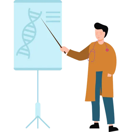 Científico explicando la estructura del ADN  Ilustración