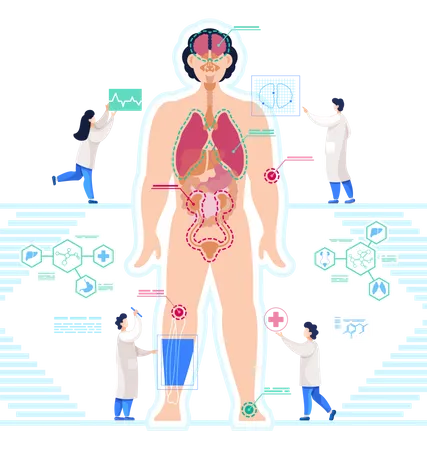 Cientista fazendo experiências com anatomia do corpo humano  Ilustração