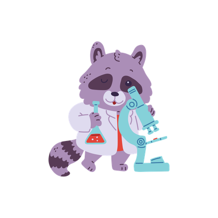 Cientista guaxinim bonitinho com microscópio e tubo de laboratório com produto químico  Ilustração
