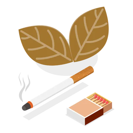 Cigarro com caixa de fósforos  Ilustração