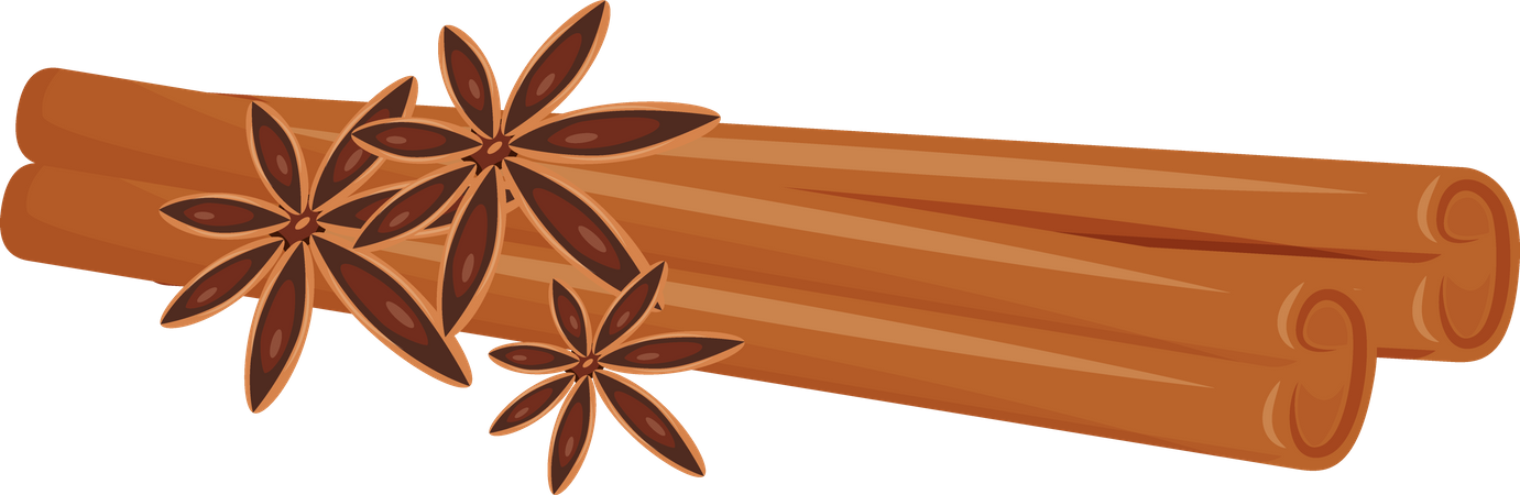 Cinnamon and star anise Illustration