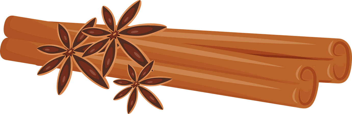 Cinnamon and star anise  Illustration