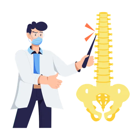 Cirurgião ortopédico realiza cirurgia de coluna  Ilustração