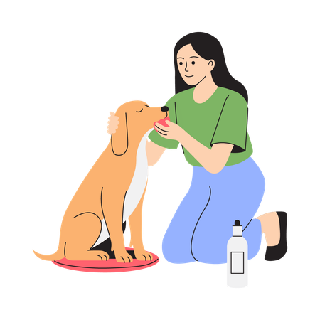 Cleaning dog’s ears  Illustration
