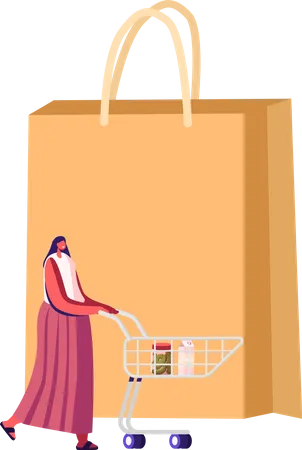 Clientèle féminine avec chariot à l'épicerie ou au supermarché  Illustration