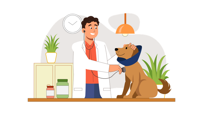 Clínica Pet Care  Ilustração