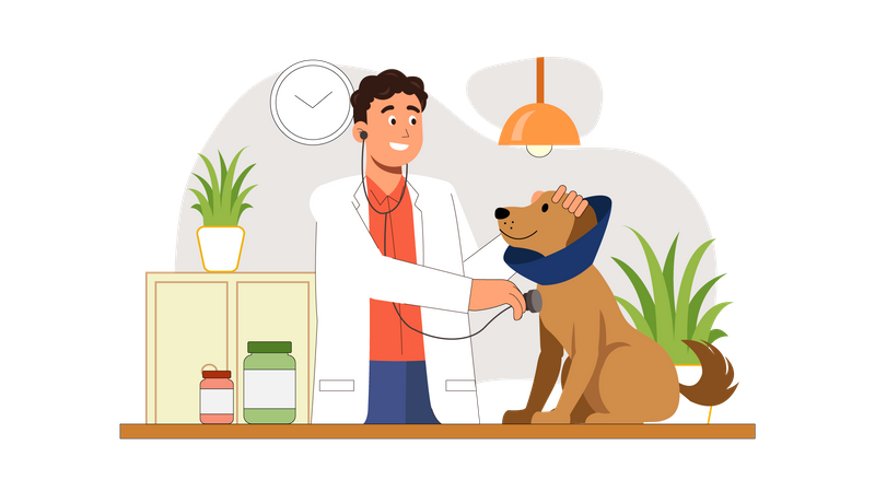 Clinique de soins pour animaux de compagnie  Illustration