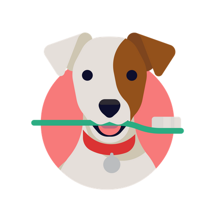 Close de Jack Russell Dog segurando uma escova de dentes na boca  Ilustração